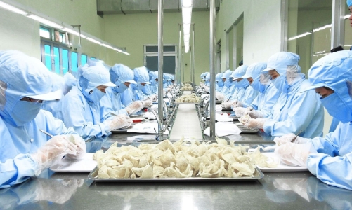 Ban hành “cẩm nang” 7 bước giúp doanh nghiệp đưa tổ yến Việt tiến vào thị trường tỷ dân - Trung Quốc