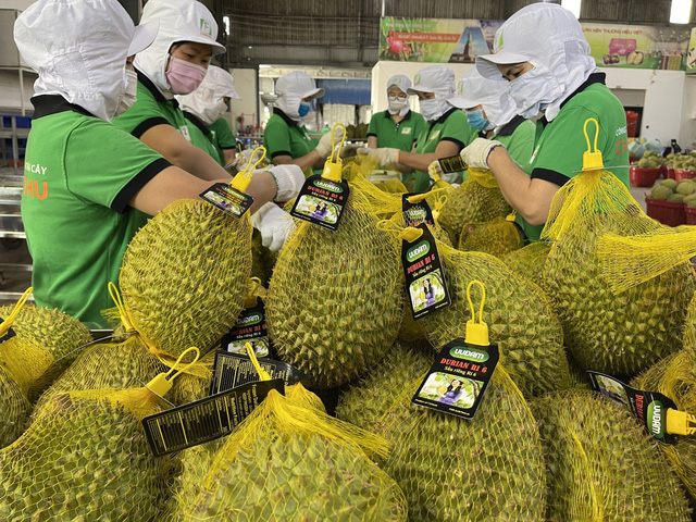 Tổng kim ngạch xuất nhập khẩu năm 2022 ước đạt 732,5 tỷ USD
