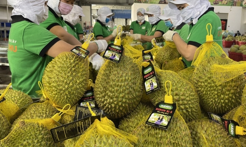 Năm 2022, tổng kim ngạch xuất nhập khẩu ước đạt 732,5 tỷ USD