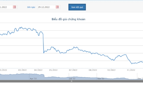 Giá giảm mạnh, Phó tổng giám đốc đã bán hết 1,73% vốn tại BAF