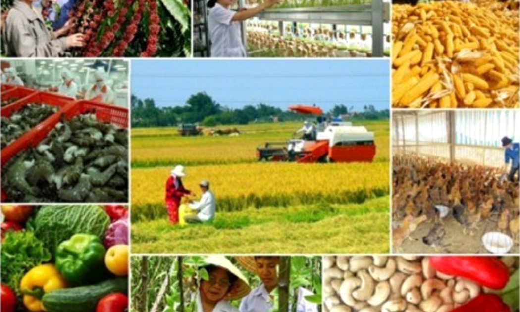 Ngành nông nghiệp tăng trưởng mạnh về giá trị xuất khẩu