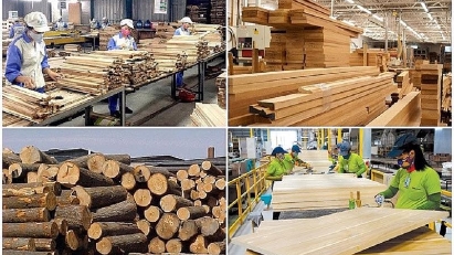 Forestry export revenue at $16.9bln