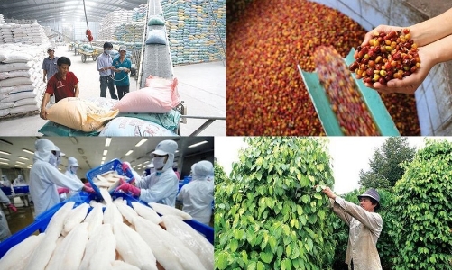 Việt Nam sẽ dừng nhập khẩu trâu, bò nếu các nước láng giềng không ngăn chặn chất cấm