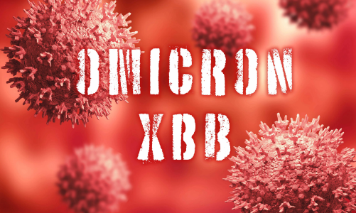 Biến chủng Omicron mới đang lan rộng tại Mỹ nguy hiểm đến mức nào?