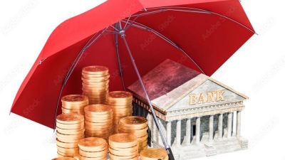 Deposit insurance development strategy approved