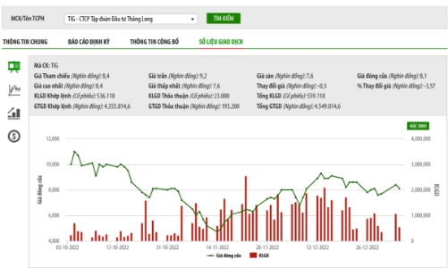 Thị giá dưới mệnh, TIG muốn chào bán 24 triệu cổ phiếu riêng lẻ với giá 10.000 đồng