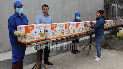 First batch of Cao Phong oranges exported to UK