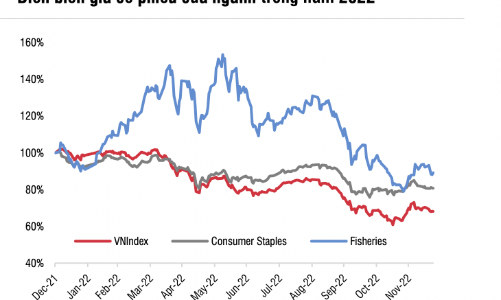 SSI Research: Các công ty thủy sản nguy cơ tăng trưởng lợi nhuận âm trong năm 2023
