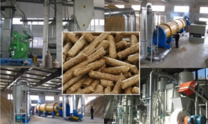 Sản xuất viên nén: Ngành hàng tỷ USD của tương lai