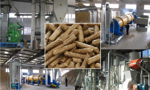 Sản xuất viên nén: Ngành hàng tỷ USD của tương lai