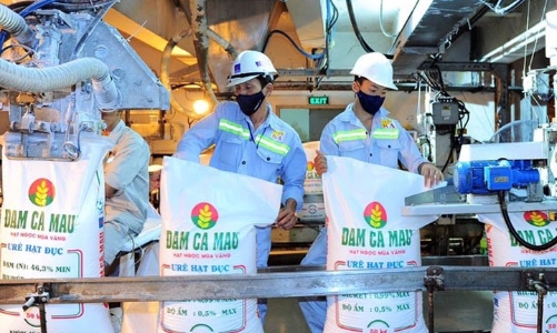 Năm 2022, doanh nghiệp phân bón đạt doanh thu và lợi nhuận kỷ lục