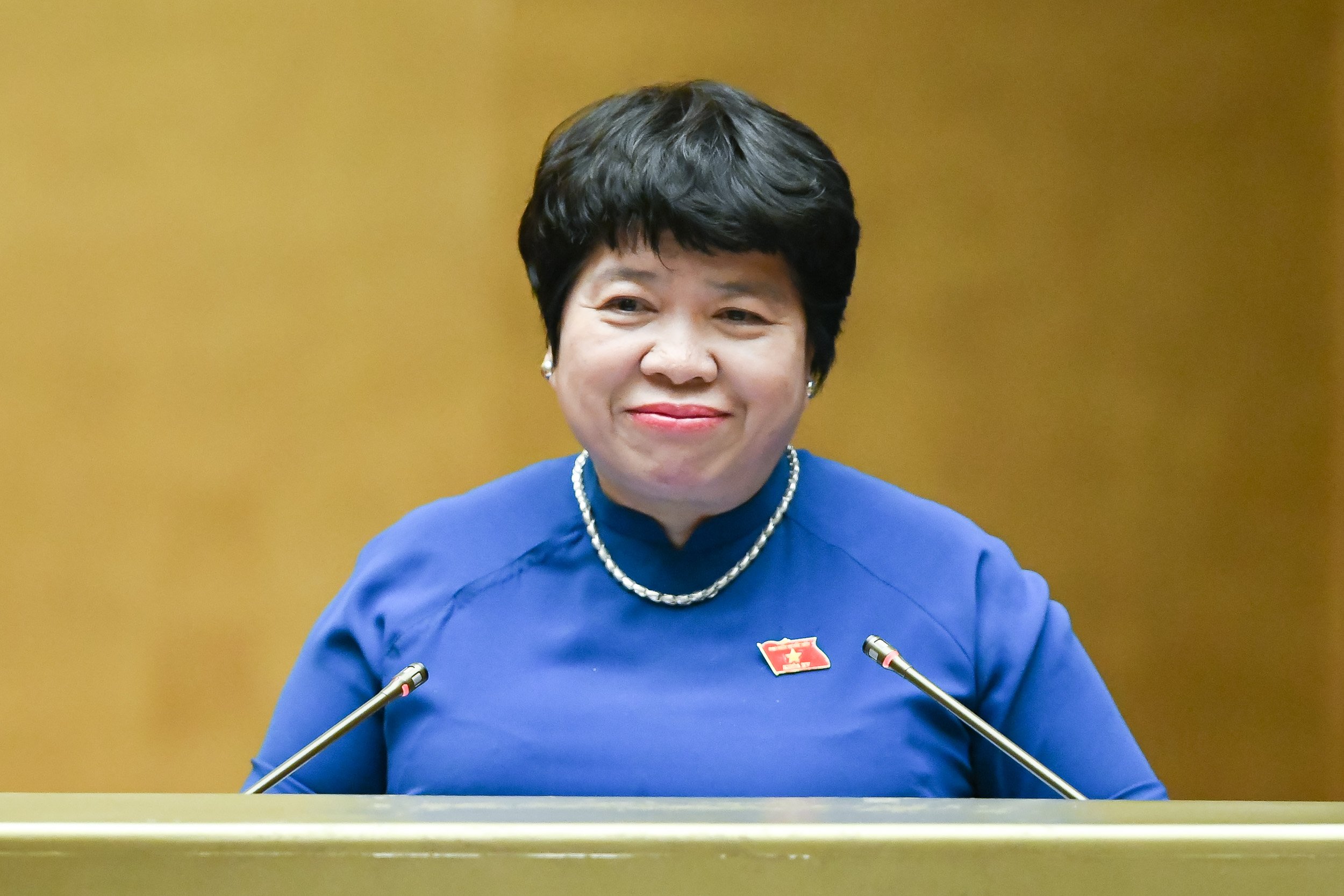 Chủ nhiệm Ủy ban Xã hội của Quốc hội Nguyễn Thúy Anh trình bày báo cáo tại hội trường. Ảnh - Quochoi.vn. 