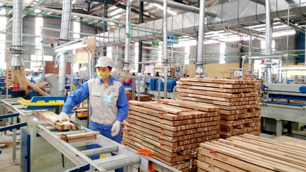 Thực hiện net zero, ngành gỗ sẽ tự tin mặc cả giá