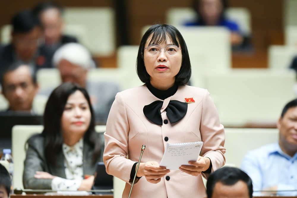 Đại biểu Nguyễn Thị Việt Nga (Hải Dương)