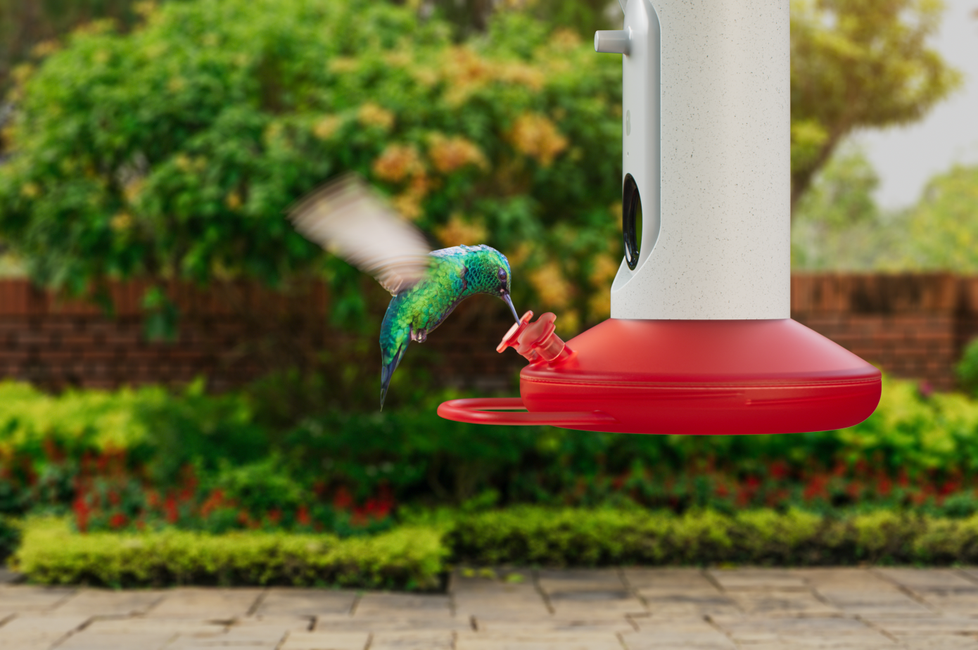Máy cho chim ăn Bird Buddy giúp theo dõi các chuyến thăm của chim theo thời gian, tìm hiểu về thói quen của chúng.