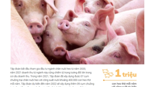 Lần đầu tiên kể từ năm 2011, HAG báo lãi  trên 1.000 tỷ đồng