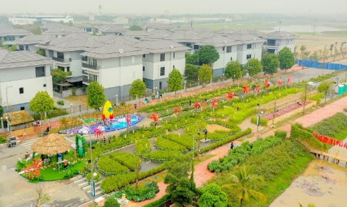 Đường hoa Home Hanoi Xuân 2023 khoe sắc trước ngày khai mạc