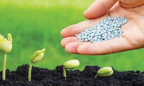 Quý 1/2023: Giá phân bón vẫn khó “hạ nhiệt” 