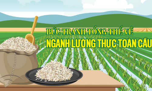 Bức tranh tổng thể về ngành lương thực toàn cầu