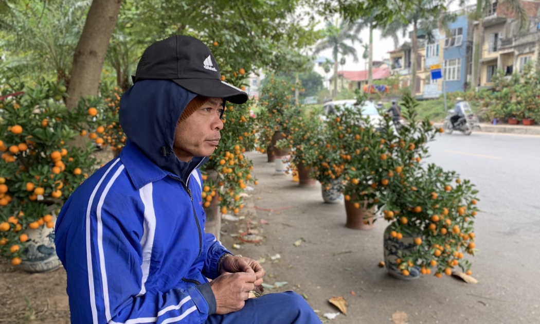 Anh Nguyễn Công Đến chở hàng trăm cây quất từ Hưng Yên lên Hà Nội bán nhưng tới chiều 26 Tết, quất vẫn ế khá nhiều