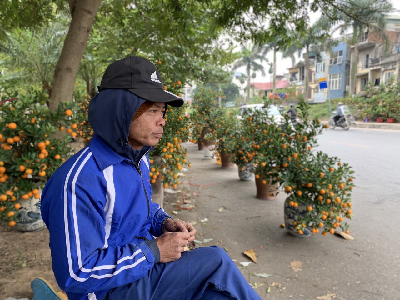 Anh Nguyễn Công Đến chở hàng trăm cây quất từ Hưng Yên lên Hà Nội bán nhưng tới chiều 26 Tết, quất vẫn ế khá nhiều