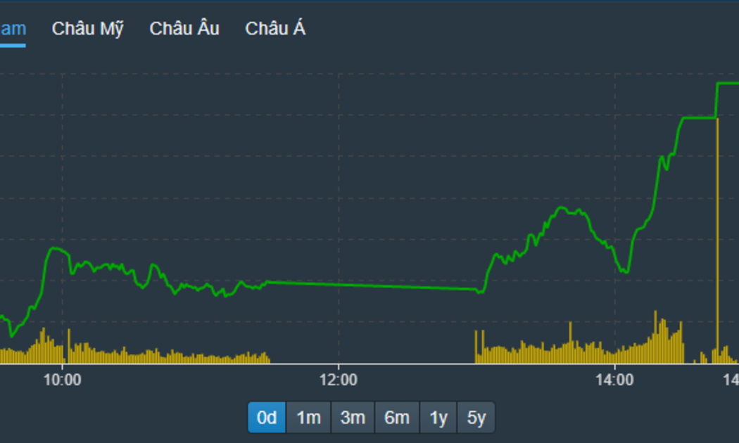 VN-Index bay cao trong phiên chiều.