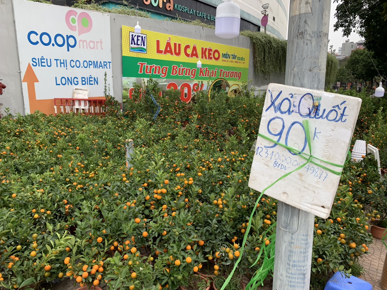 Lo lắng kh&ocirc;ng b&aacute;n kịp trước Tết, nhiều tiểu thương đ&atilde; 