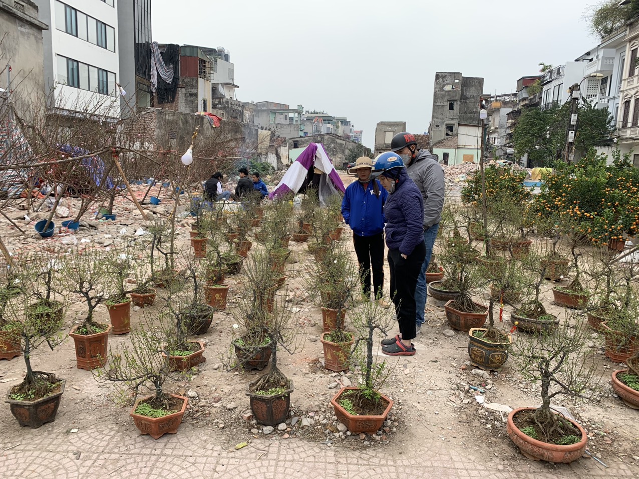 Do kinh tế kh&oacute; khăn, nhiều&nbsp;c&ocirc;ng nh&acirc;n vi&ecirc;n chức lượng c&ocirc;ng nh&acirc;n bị giảm lương, giảm thưởng, thậm ch&iacute; mất việc n&ecirc;n bỏ ra số tiền v&agrave;i trăm ng&agrave;n để mua đ&agrave;o, quất, hoặc c&aacute;c loại c&acirc;y cảnh kh&aacute;c khiến kh&ocirc;ng &iacute;t người đắn đo.&nbsp;
