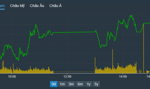 VIC, MSN đột biến đợt ATC, VN-Index vượt đỉnh