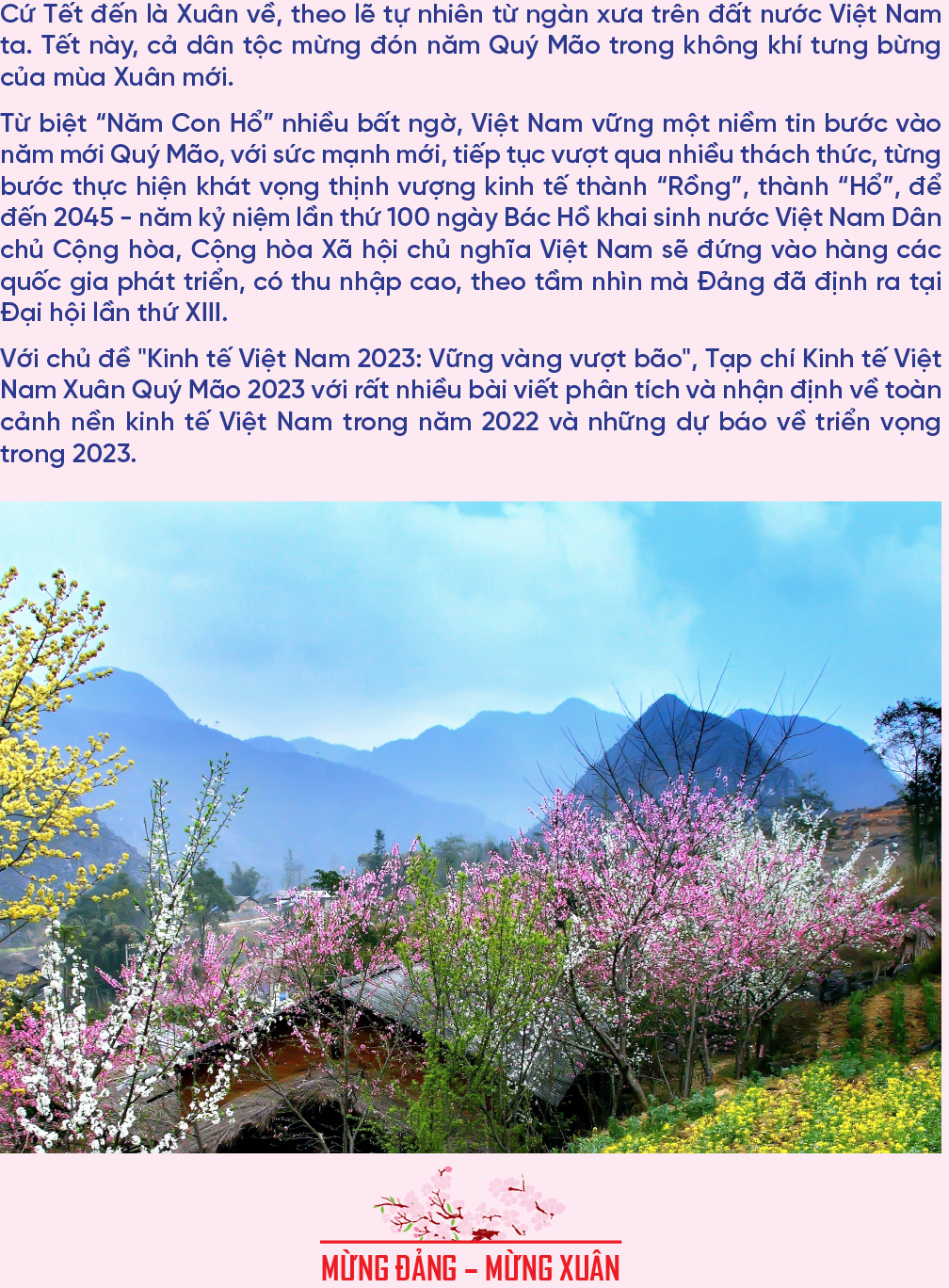 Đón đọc Tạp chí Kinh tế Việt Nam số đặc biệt Xuân Quý Mão 2023 - Ảnh 2
