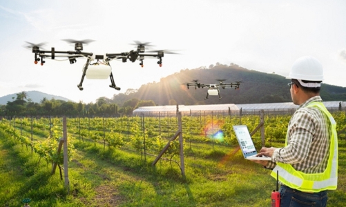 Sử dụng thiết bị bay phun thuốc bảo vệ thực vật phải tuân thủ quy chuẩn