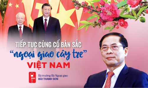 Tiếp tục củng cố bản sắc “ngoại giao cây tre” Việt Nam 