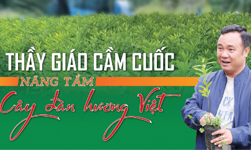 Thầy giáo cầm cuốc: Nâng tầm cây đàn hương Việt