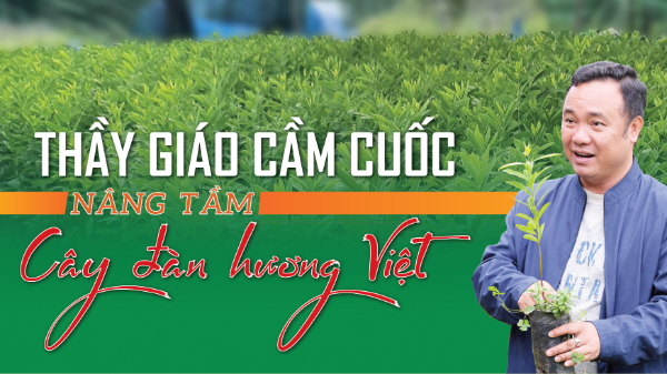 Thầy giáo cầm cuốc: Nâng tầm cây đàn hương Việt