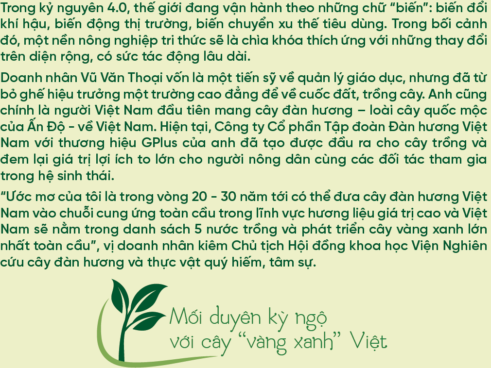 Thầy giáo cầm cuốc: Nâng tầm cây đàn hương Việt - Ảnh 2