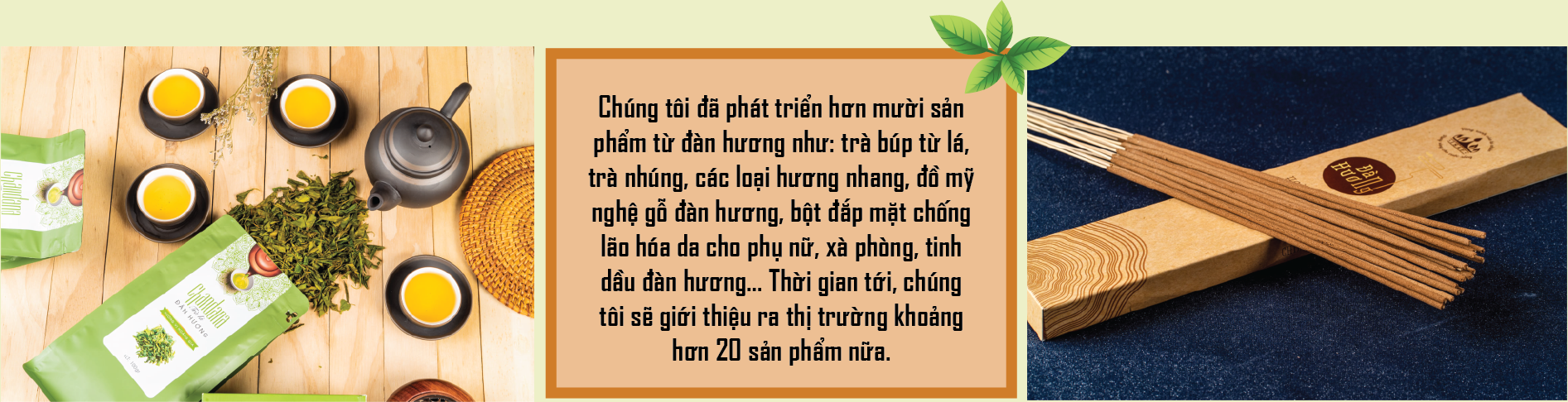 Thầy giáo cầm cuốc: Nâng tầm cây đàn hương Việt - Ảnh 4