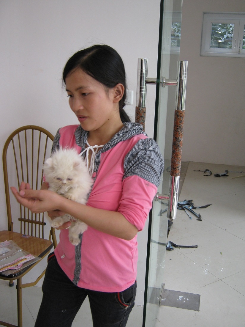 Chăm s&oacute;c m&egrave;o cảnh cũng tốn nhiều c&ocirc;ng sức.