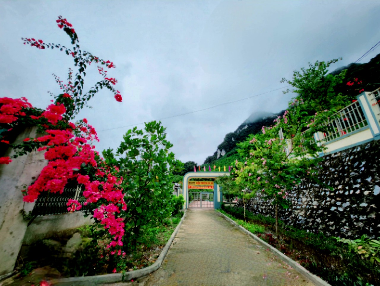 Hoa nở tr&ecirc;n những nẻo đường