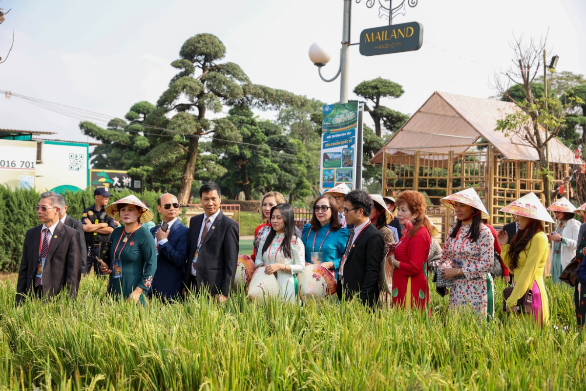 Home Hanoi Xuan 2023 với chủ đề Vũ trụ Tết diệu kỳ đ&atilde; mang đến cho du kh&aacute;ch những trải nghiệm ấn tượng. Ảnh: Home Hanoi Xuan.