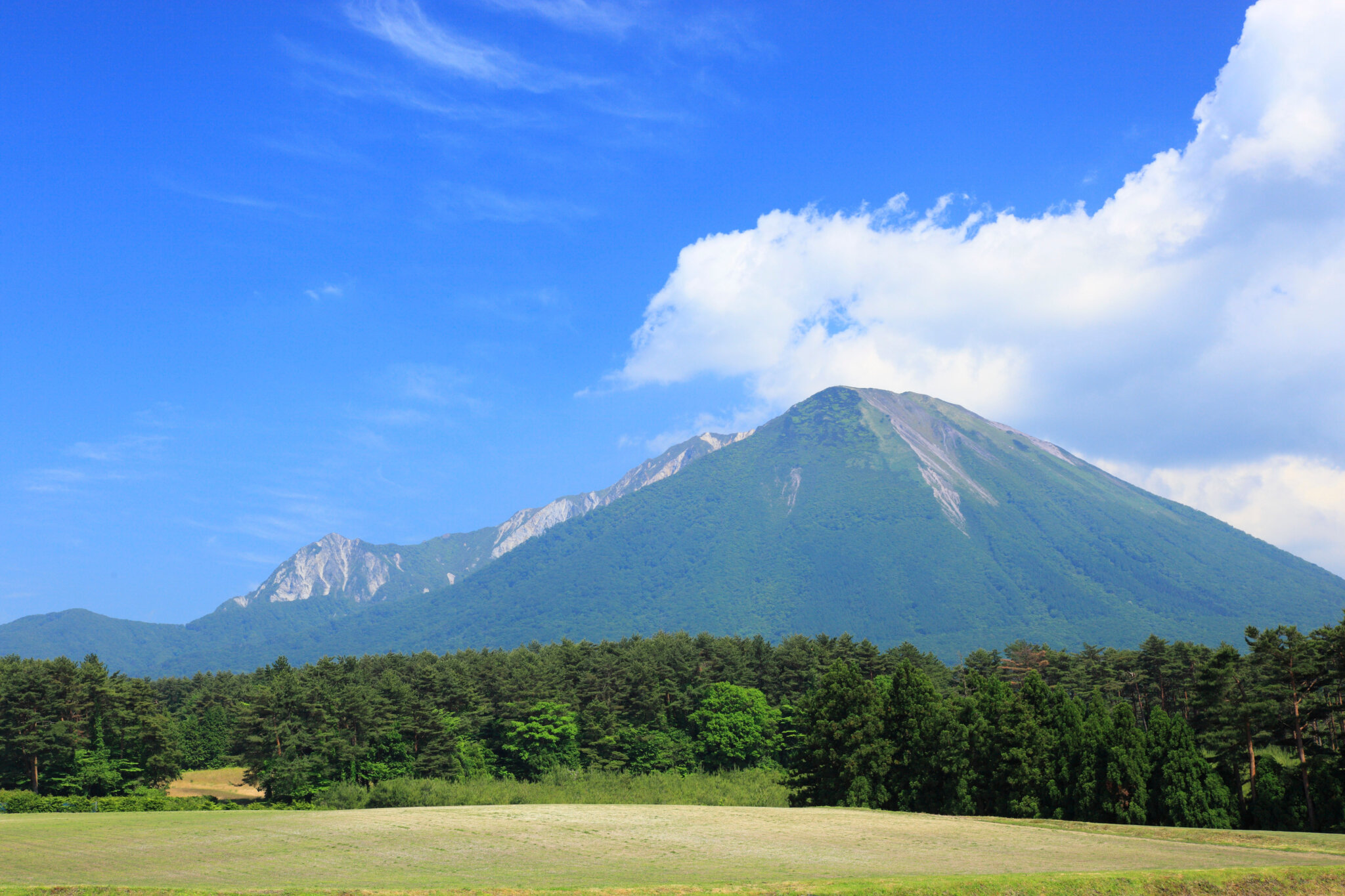 Nguồn: Shutterstock.