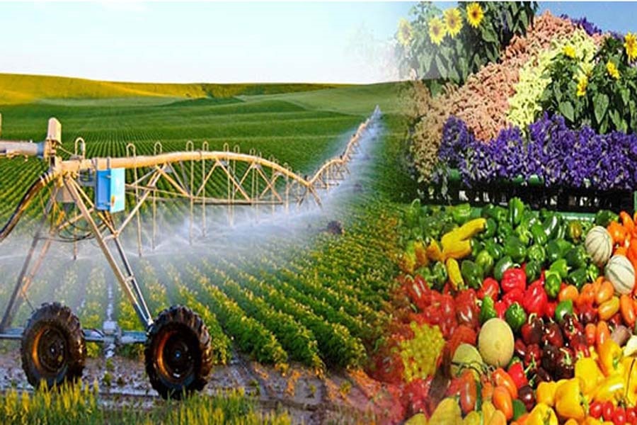 Chiến lược phát triển nông nghiệp, nông thôn của Việt Nam đang hướng tới mục tiêu minh bạch, trách nhiệm và bền vững.