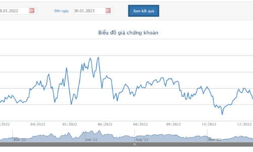 Vượt 70% kế hoạch lợi nhuận năm, REE sắp chia cổ tức 25% bằng tiền và cổ phiếu