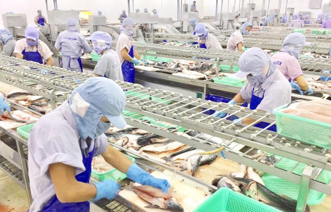 Thủy sản Việt Nam được thị trường Trung Quốc ưa chuộng 