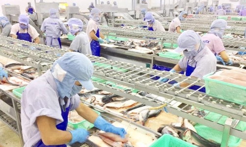 Thêm hàng chục doanh nghiệp thủy sản Việt Nam được cấp phép đưa hàng vào Trung Quốc 