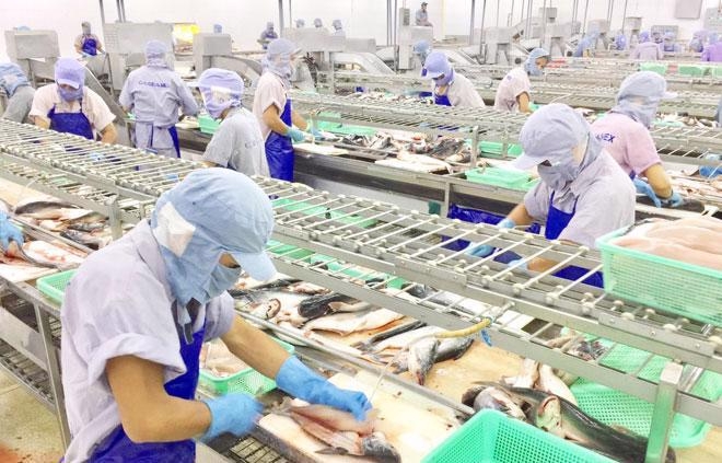 More seafood businesses eligible to export to China