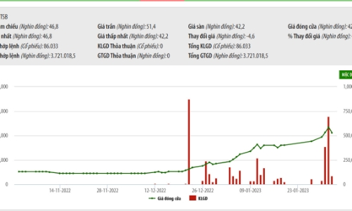 Hóa chất Đức Giang muốn mua 51% vốn tại TSB với giá không vượt quá 39.200 đồng/cổ phiếu