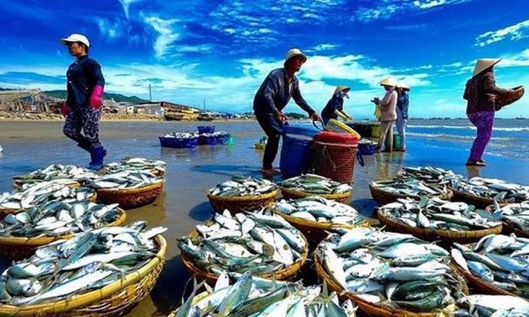 Xuất khẩu thủy sản đã có một năm thắng lớn