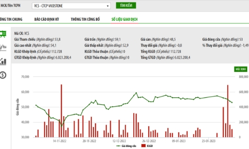 Uỷ ban Chứng khoán Nhà nước từ chối phương án mua lại cổ phiếu quỹ của VCS