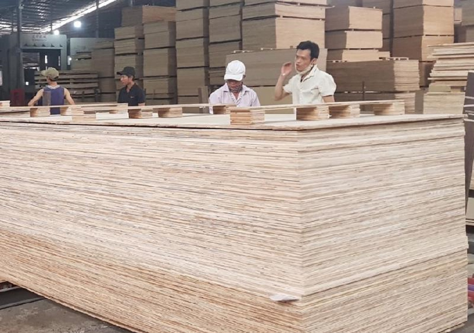 Xuất khẩu gỗ dán đang chịu sự cạnh tranh từ nhiều nước.