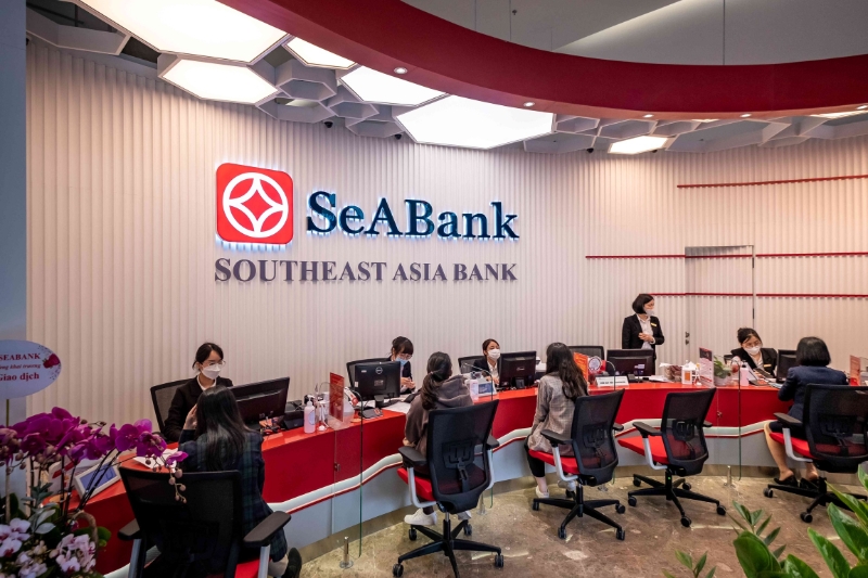 IFC invests $100mln in SeABank